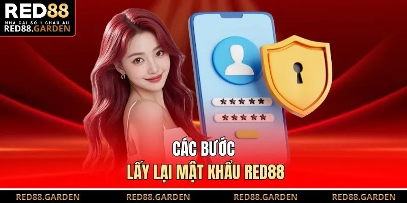 Các bước lấy lại mật khẩu Red88