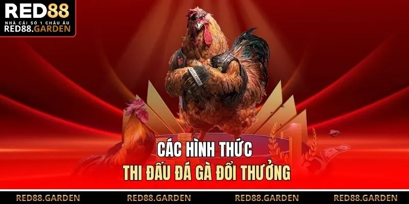 Các hình thức thi đấu đá gà đổi thưởng