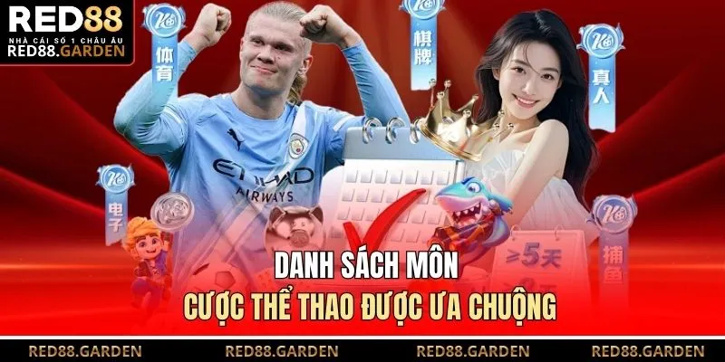 Danh sách môn cược thể thao được ưa chuộng