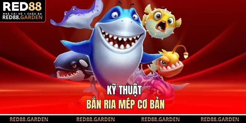 Kỹ thuật bắn ria mép cơ bản