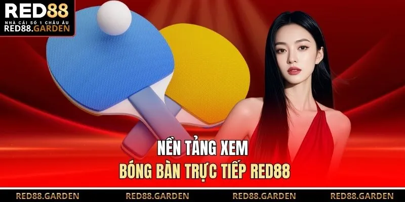 Nền tảng xem bóng bàn trực tiếp Red88