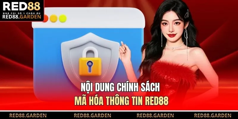 Nội dung chính sách mã hóa thông tin Red88