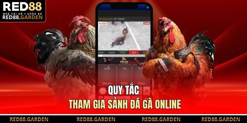 Quy tắc tham gia sảnh đá gà online